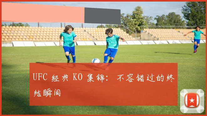 UFC 经典 KO 集锦：不容错过的终结瞬间