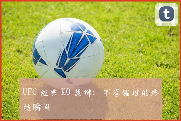 UFC 经典 KO 集锦：不容错过的终结瞬间